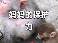 开云体育APP下载-包含精彩瞬间扣人心弦，最全报道揭秘！的词条