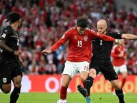 开云APP-比利时客场力克哈萨克斯坦，领先优势扩大的简单介绍