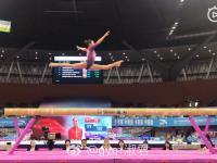 开云体育-体操小将夺冠，卓越技艺震撼现场的简单介绍
