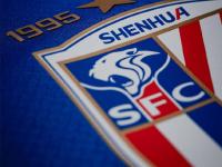 开云体育中国-令人震惊！上海申花在亚冠赛场取得重要胜利的简单介绍