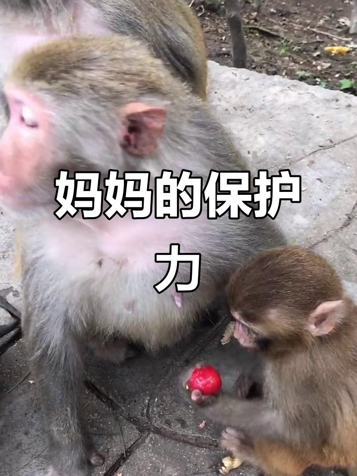 包含精彩瞬间扣人心弦，最全报道揭秘！的词条